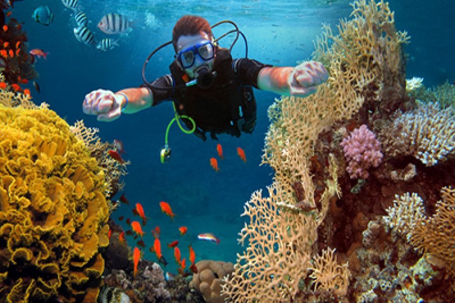 Scuba Diving In Dubai