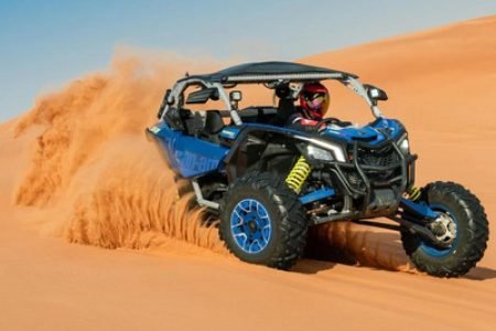 Desert Buggy Driving Experience